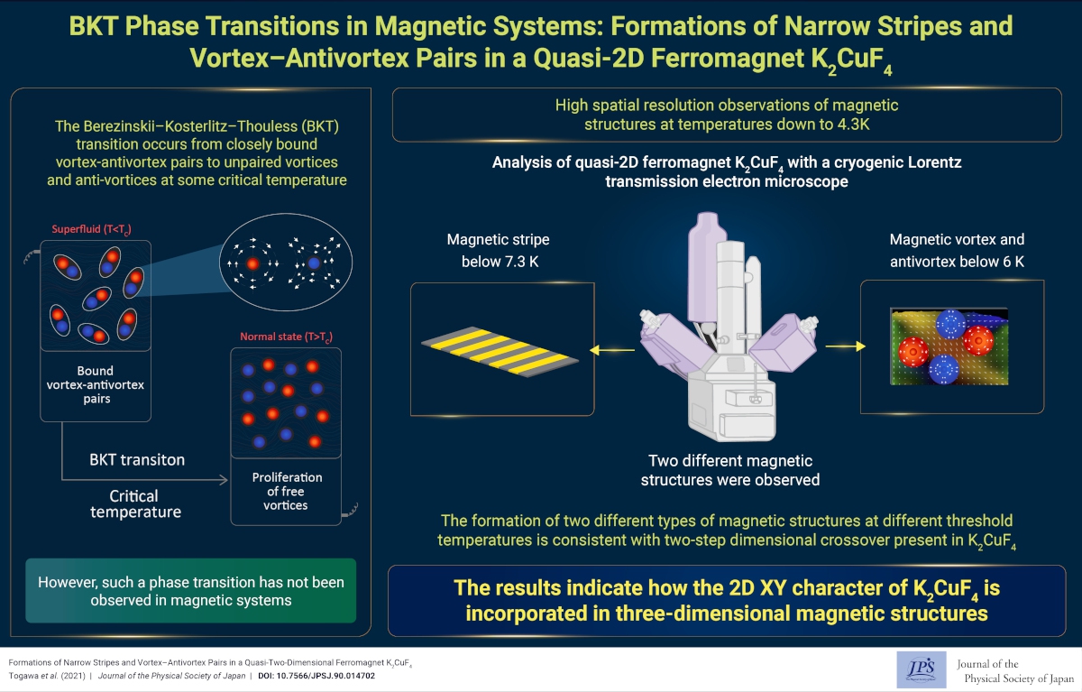 BKT Phase Transitions in Magnetic Systems: Formations of Narrow Stripes and Vortex–Antivortex Pairs in a Quasi-2D Ferromagnet K2CuF4
