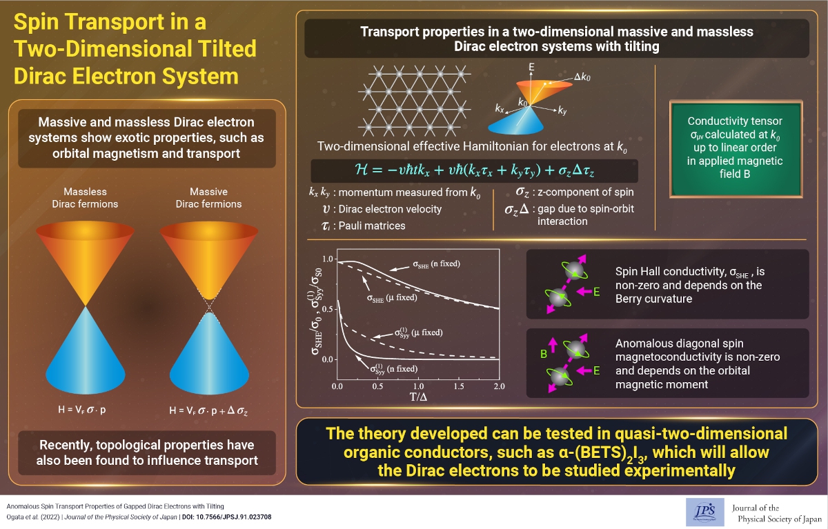 Spin Transport in a Two-Dimensional Tilted Dirac Electron System