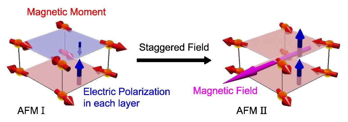 Hidden Magnetoelectric Phase Transition by Emergent Staggered Magnetic Field
