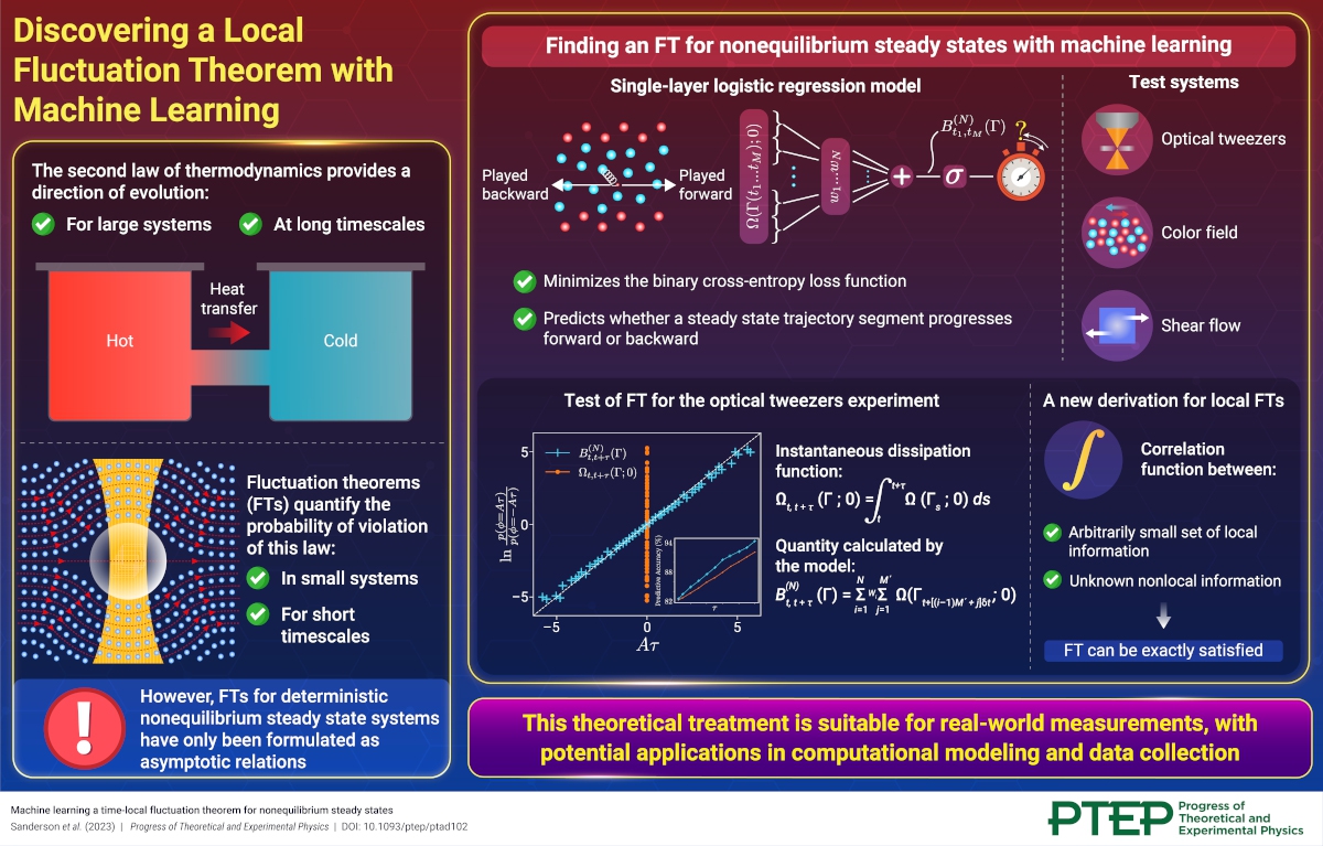 Discovering a Local Fluctuation Theorem with Machine Learning