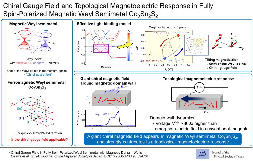 Chiral Gauge Field and Topological Magnetoelectric Response in Fully Spin-Polarized Magnetic Weyl Semimetal Co3Sn2S2