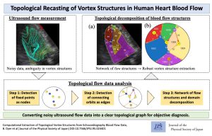 Topological Recast of Vortex Structures in Human Heart Blood Flow - JPS ...
