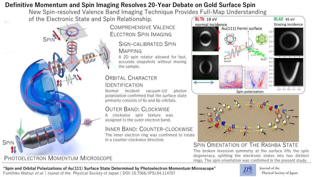 Definitive Momentum and Spin Imaging Resolves 20-Year Debate on Gold Surface Spin