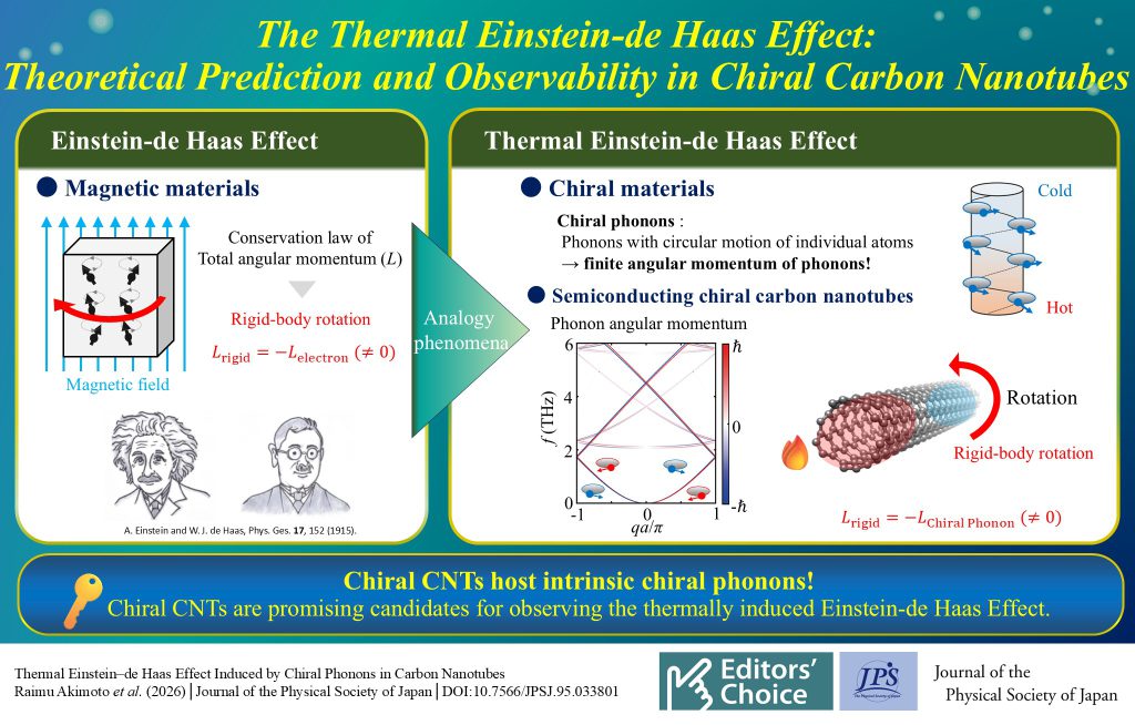 The Thermal Einstein–de Haas Effect:
Theoretical Prediction and Observability in Chiral Carbon Nanotubes