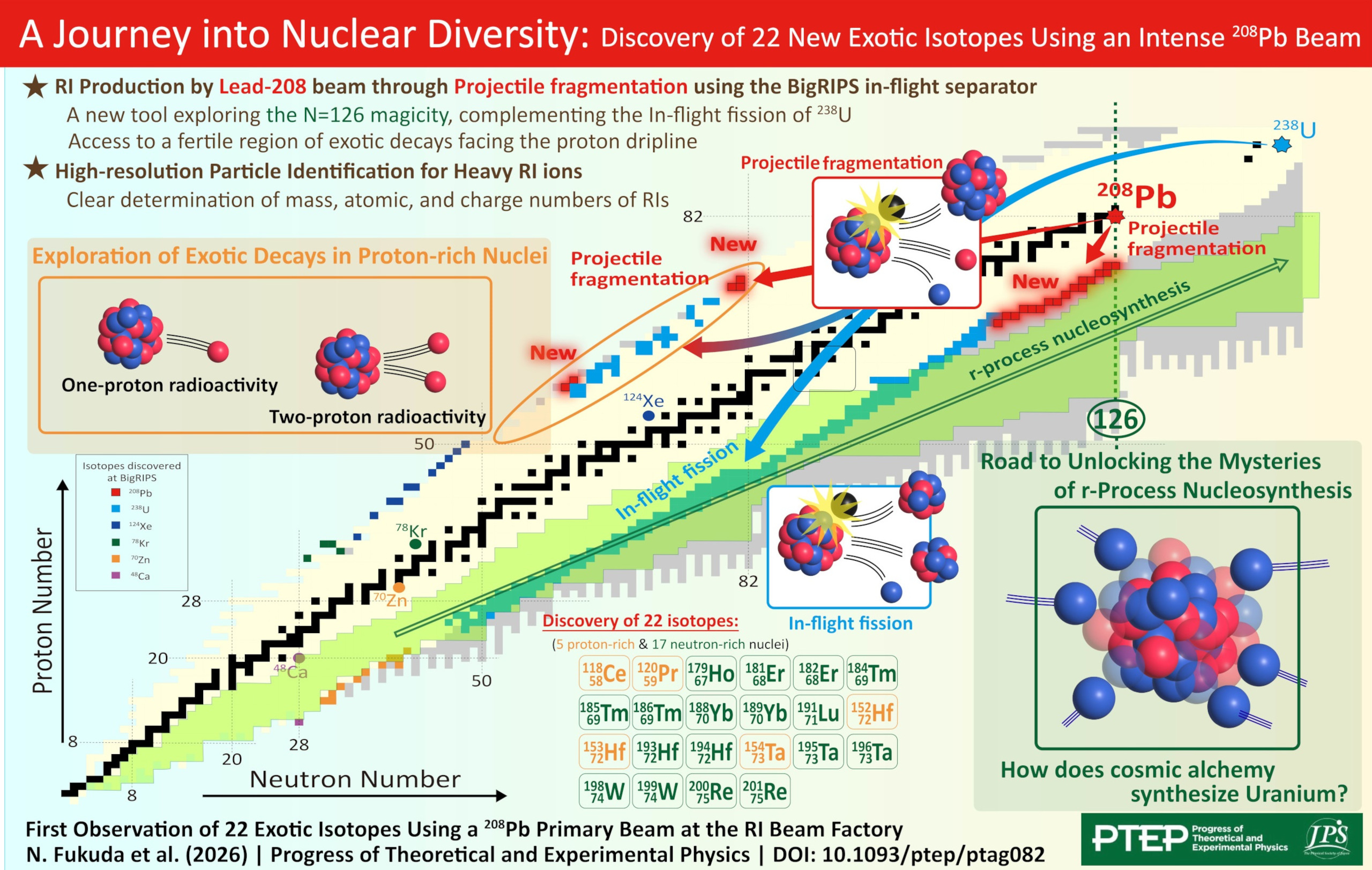 A Journey into Nuclear Diversity: Discovery of 22 New Exotic Isotopes Using an Intense 208Pb Beam