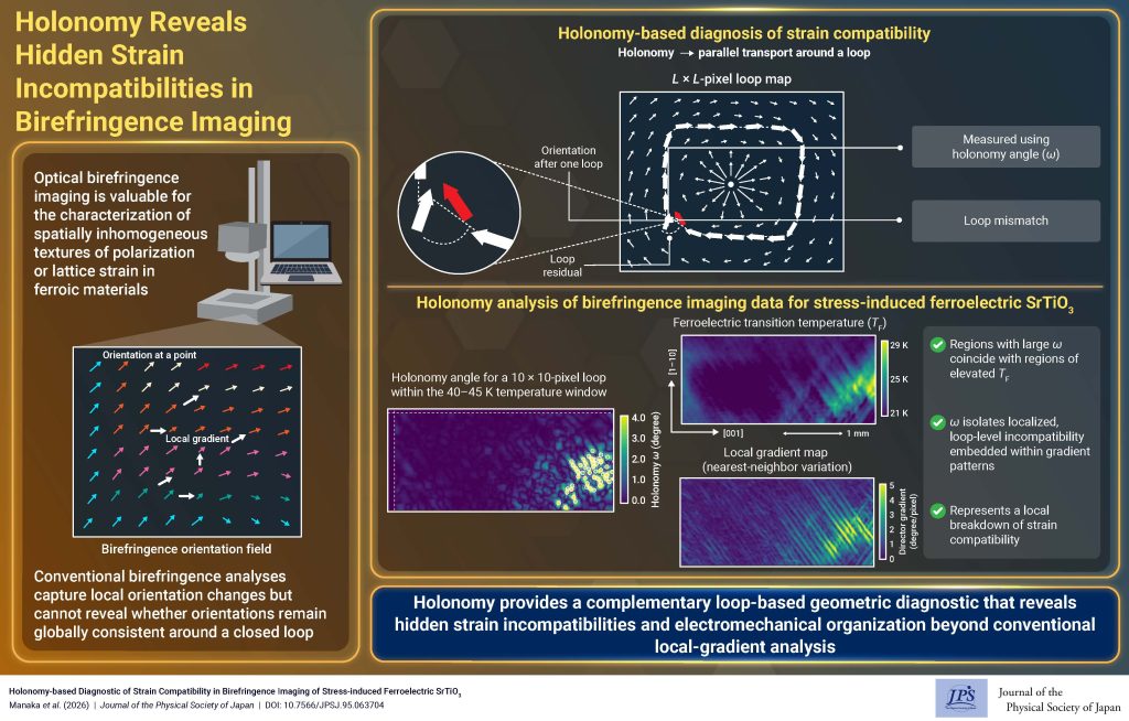 Holonomy Reveals Hidden Strain Incompatibilities in Birefringence Imaging